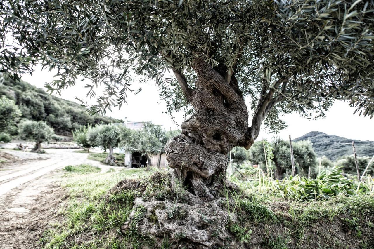 Borgo Rosso Di Sera Resort San Lucido Dış mekan fotoğraf