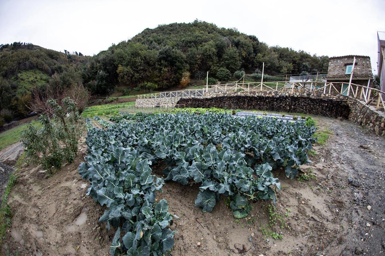 Borgo Rosso Di Sera Resort San Lucido Dış mekan fotoğraf