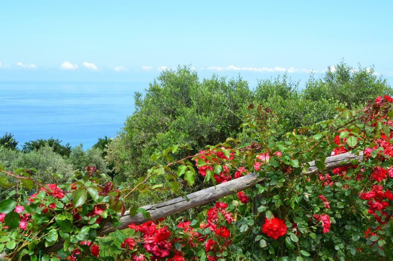 Borgo Rosso Di Sera Resort San Lucido Dış mekan fotoğraf